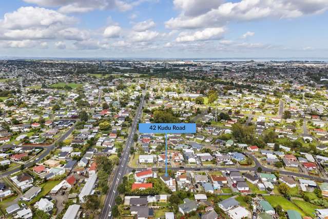 42 Kudu Road Otara_4