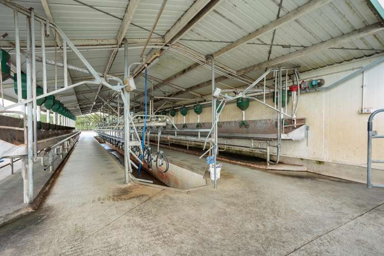 1001 Piako Road Gordonton_15