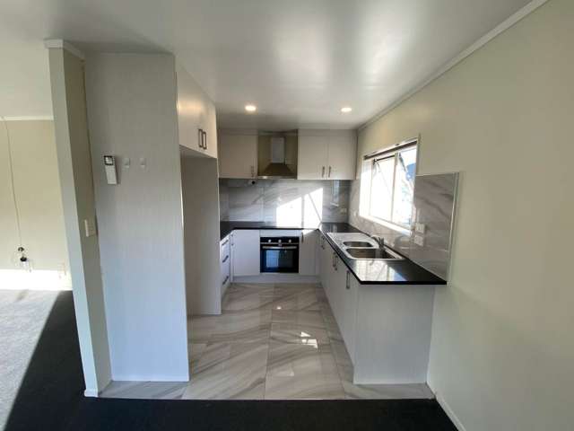 66 Robert Skelton Place Clendon Park_2