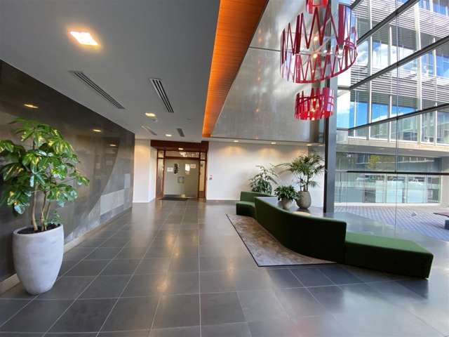 15 Nicholls Lane Parnell_2