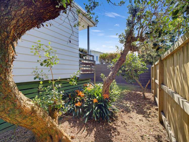 242b Waihi Road Judea_20