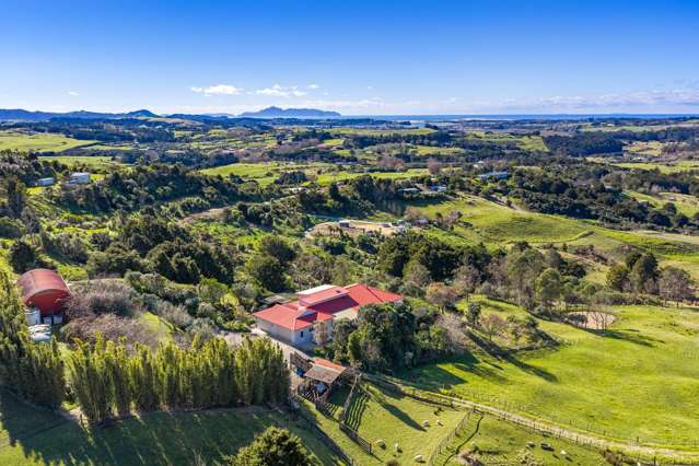217 Lawrence Road Mangawhai_2