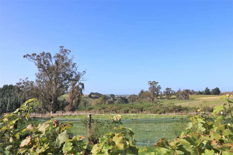 296 Fairview Road Fairview_13