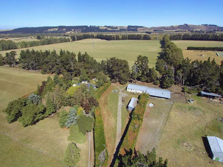 787 Birch Hill Road Okuku_13