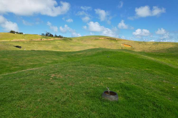 796 Mahuta Road Dargaville Surrounds_22