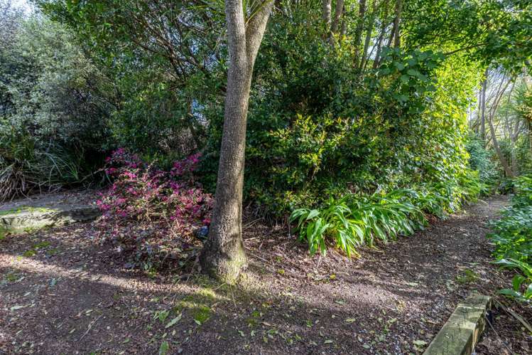 29B Rowe Road Whatawhata_27