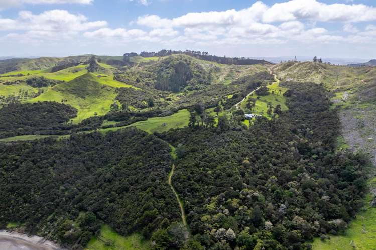 167 Summer Road Tinopai_46