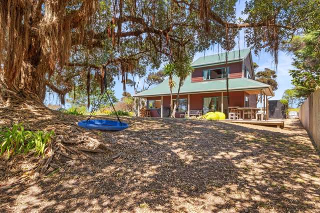 Coastal pohutukawa charm