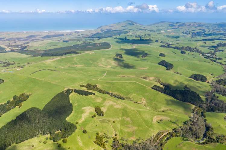 3902 State Highway 12 Dargaville_16