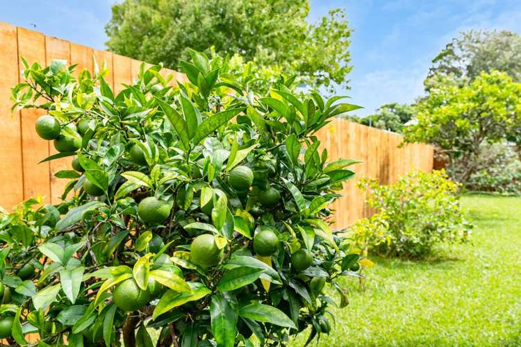 44 Ross Street Onerahi_33