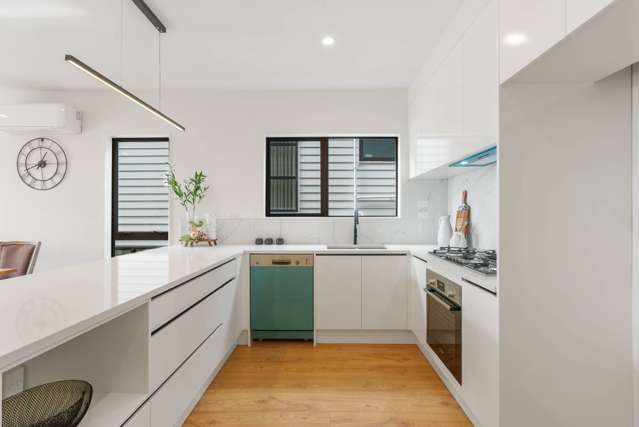 30b Goodfellow Lane Flat Bush_2