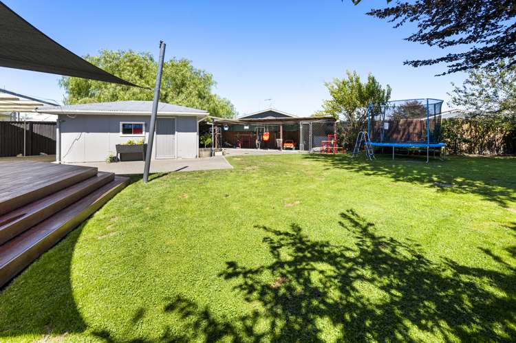 77 Harold Holt Avenue Onekawa_12