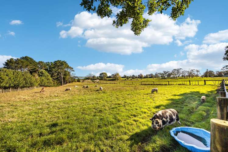 92 Estuary View Road Waiau Pa_38