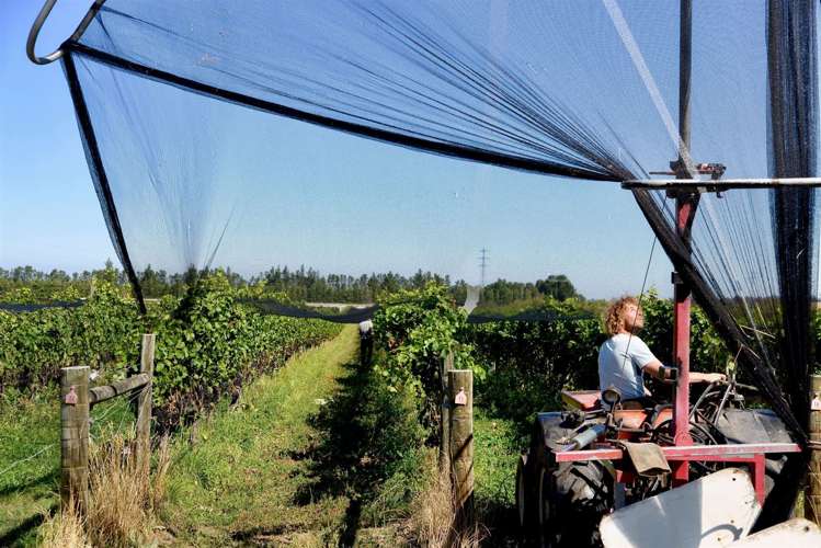 328 Georges Road Amberley_11