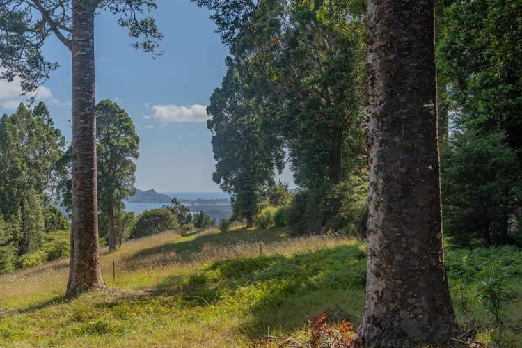 184 Hikuai Settlement Road Hikuai_18