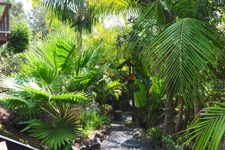 26 Hihitahi Rise Paihia_15