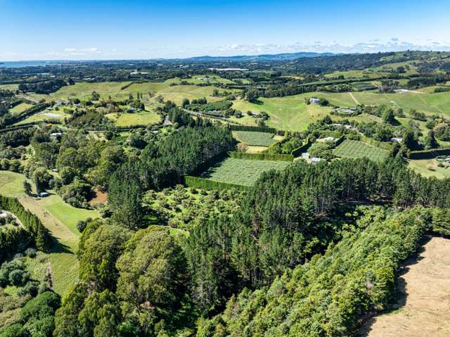 168 Youngson Road Whakamarama_2