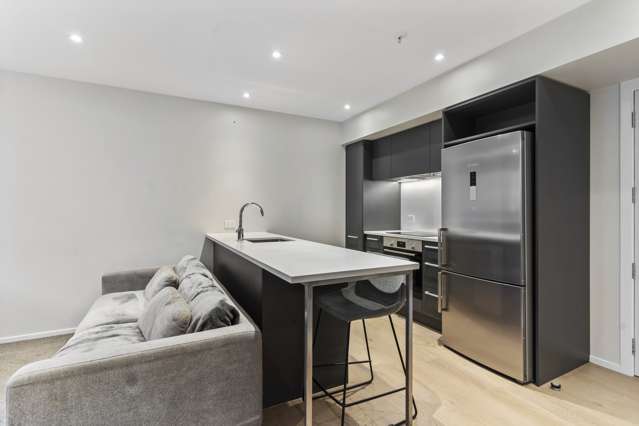 Well Presented Modern Apartment - Secured & Private