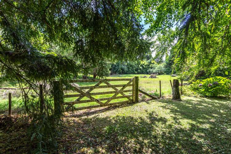 33 Pakaraka Thames_32