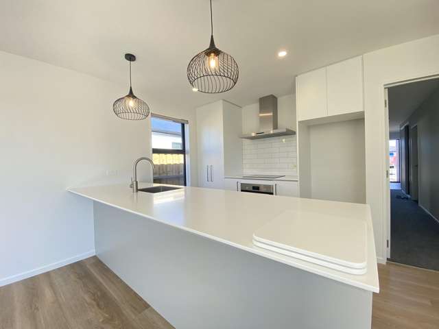 12 Silvergrass Way Rolleston_4