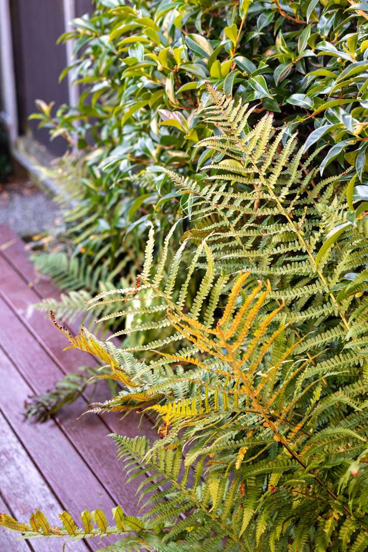 2/18 School Road Halswell_19