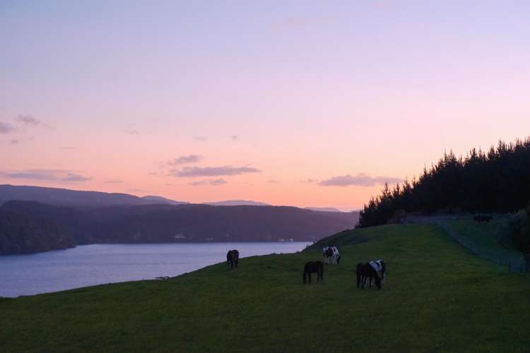 364 Maniatutu Road Rotoiti_10