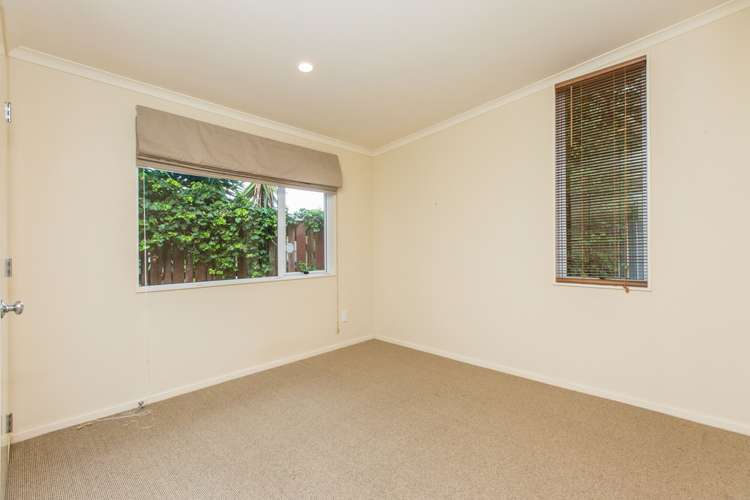257a Campbell Road Greenlane_10