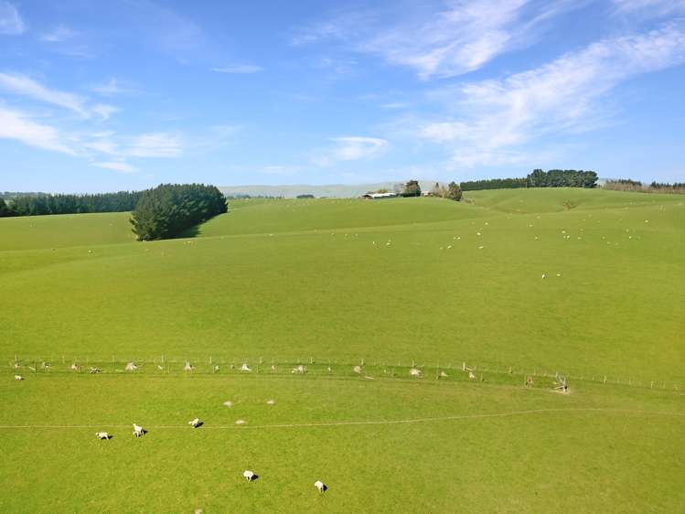 20 Carruthers Road Pomahaka_12