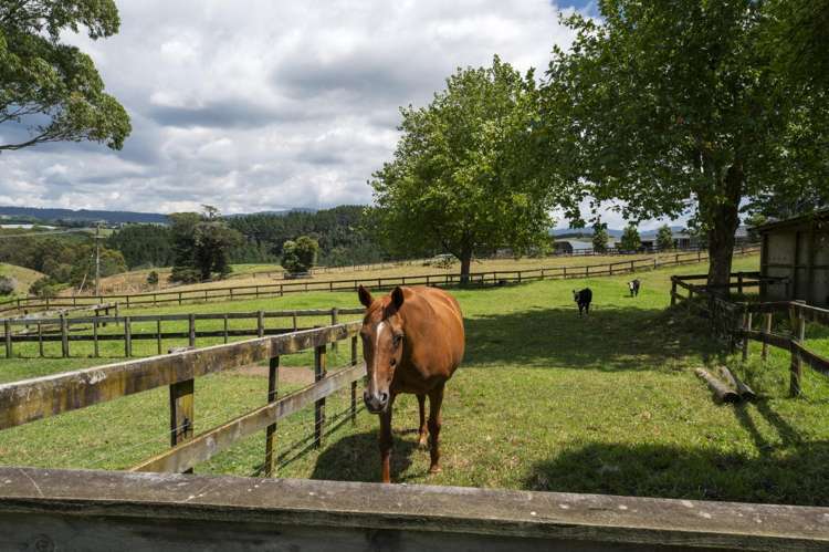 63c Lowe Road Whakamarama_39