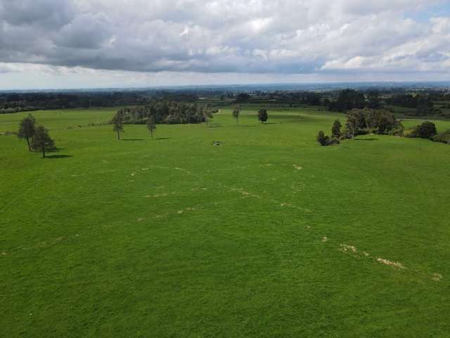 452 Surrey Road Rd 8_4