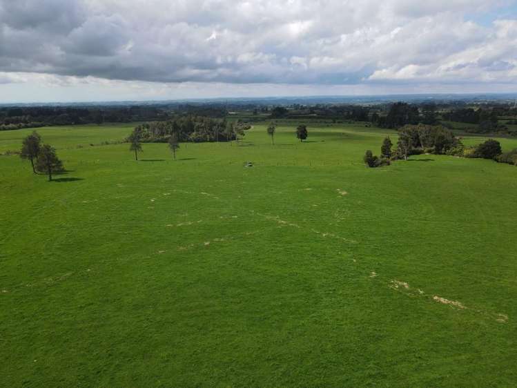 452 Surrey Road Rd 8_4