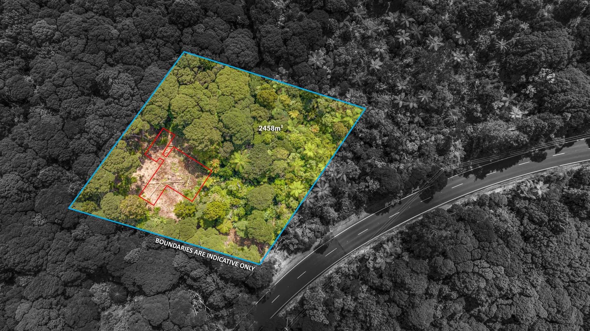 252 Piha Road Piha_0