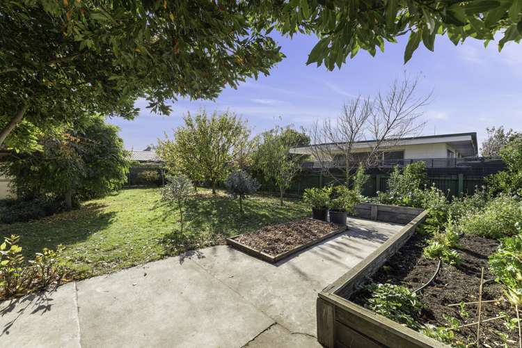 84 Mclauchlan Street Springlands_25