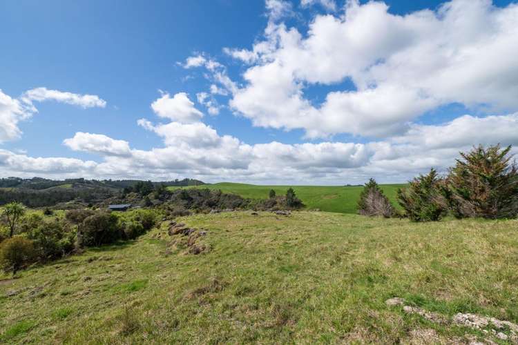 183A Wiroa Road Kerikeri_10