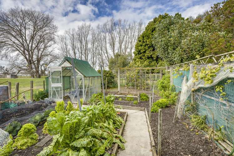 39 Farndon Road Clive_19