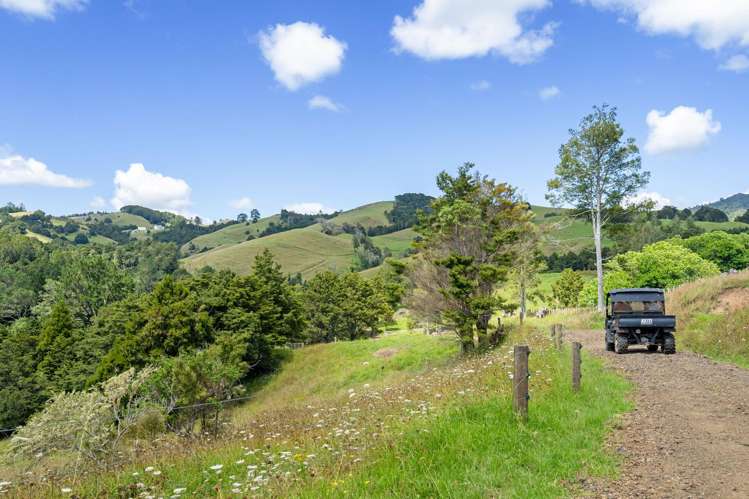 395 Tangihua Road Maungakaramea_47