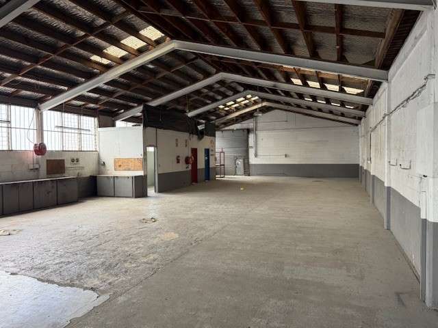 37 King Street Frankton_3