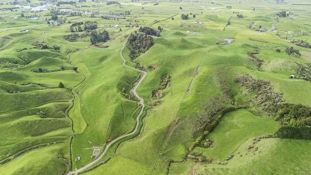 794 Tariki Road Ratapiko_2