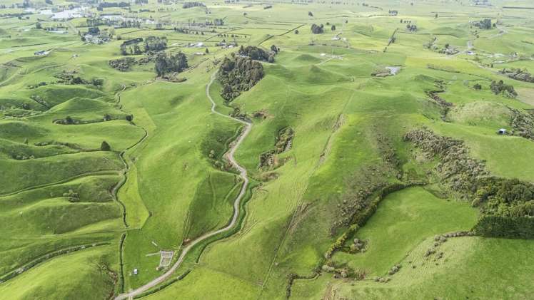 794 Tariki Road Ratapiko_2