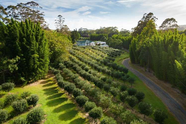 70 Pukeko Lane Kerikeri_17