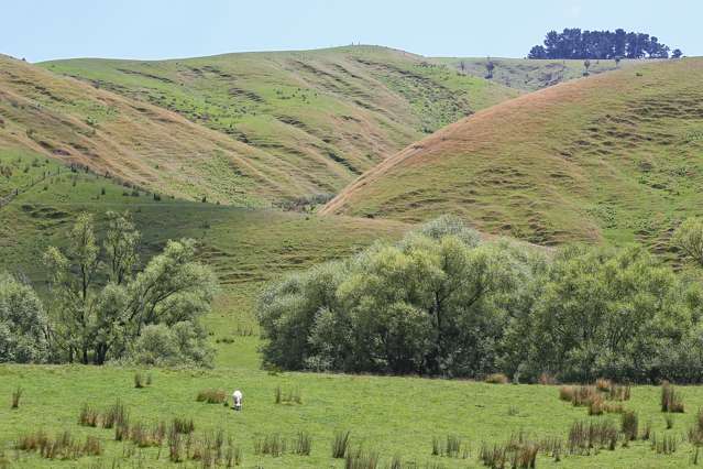 746 Te Awa Road Central Hawkes Bay Coastal_3