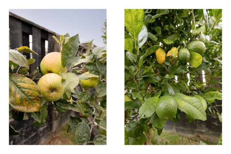 154 James Street Whakatane_12