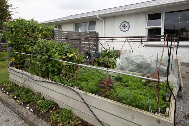 12 Mcnicol Crescent Allenton_34