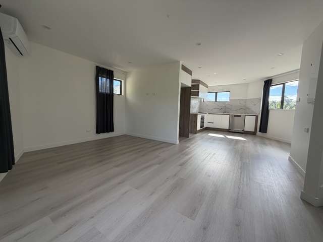 62 Tiri tiri Road Birkdale_1