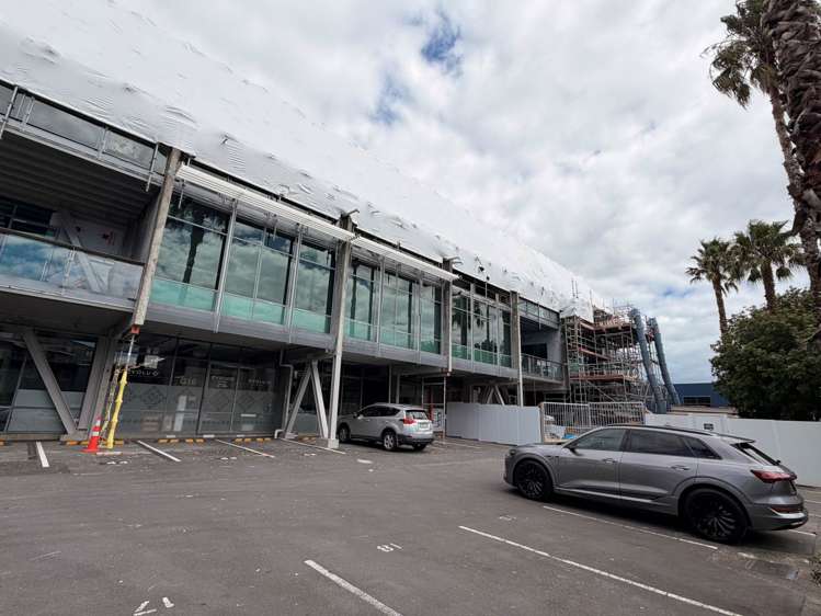 23 Edwin Street Mt Eden_15