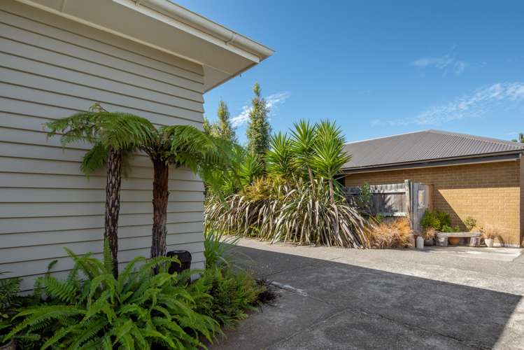 146a Redwood Street Redwoodtown_22