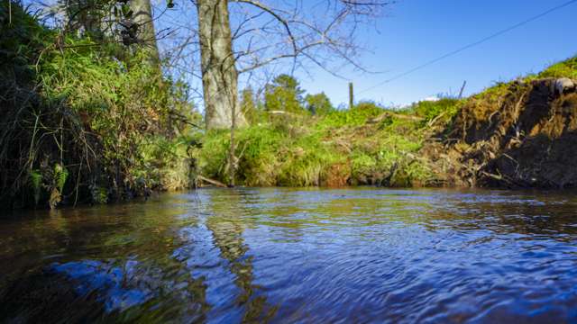 118 Pukewera Road Waihi_2