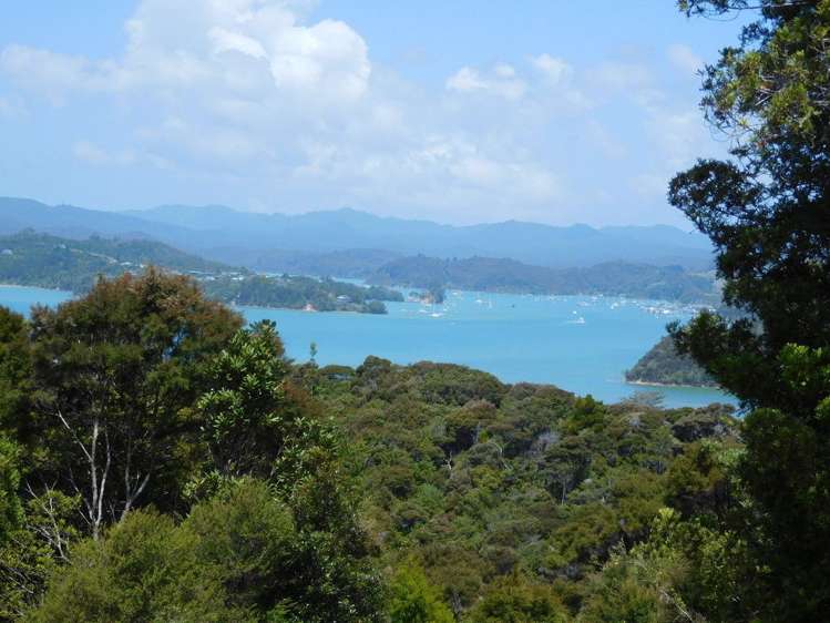 70 School Road Paihia_35