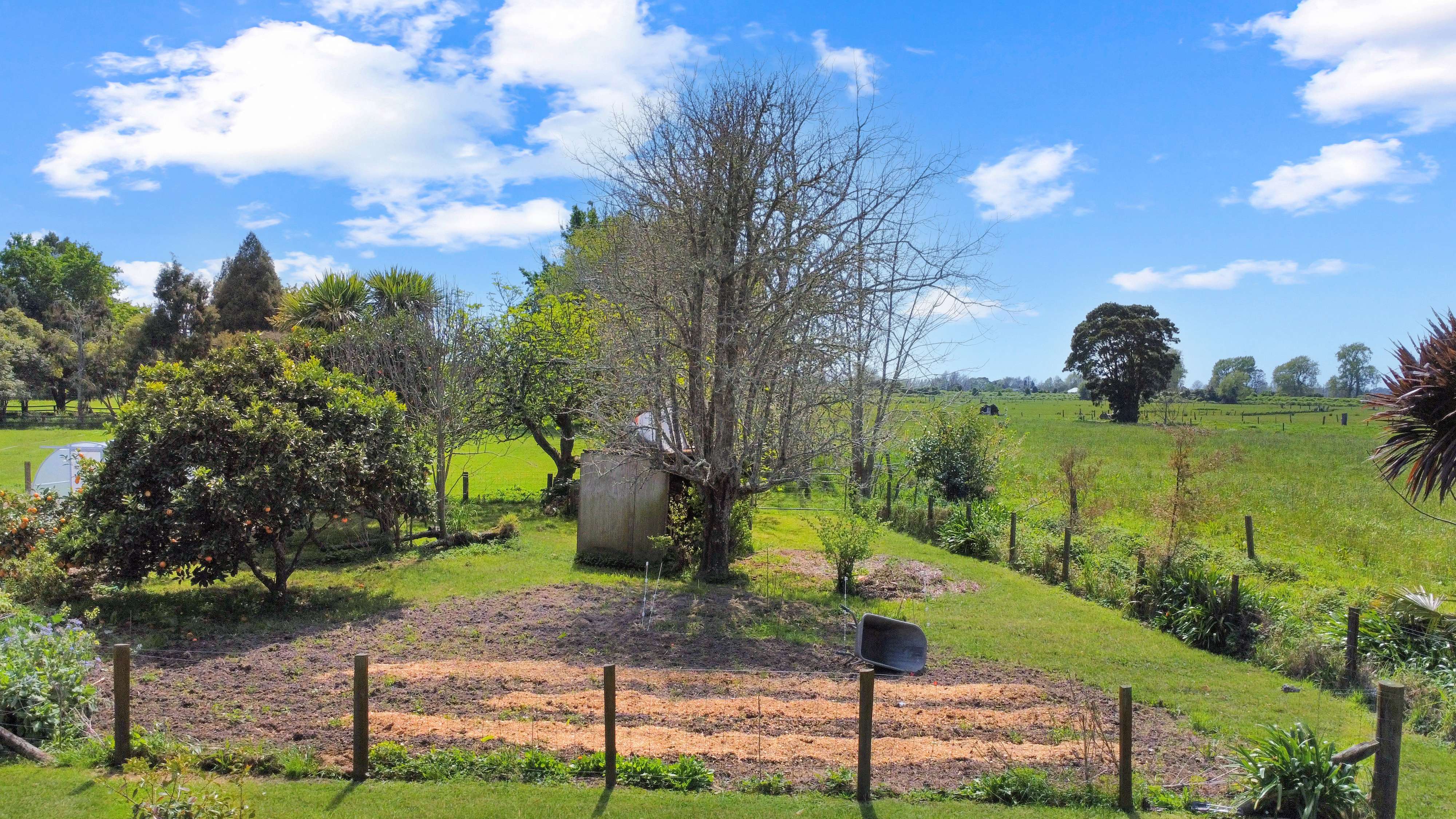 97F Poplar Lane Edgecumbe Whakatāne Rural Property For Sale One