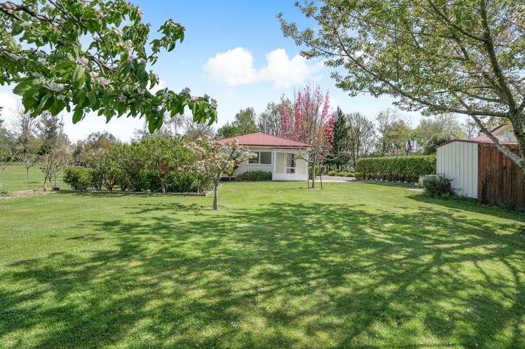 37 North Street Greytown_22
